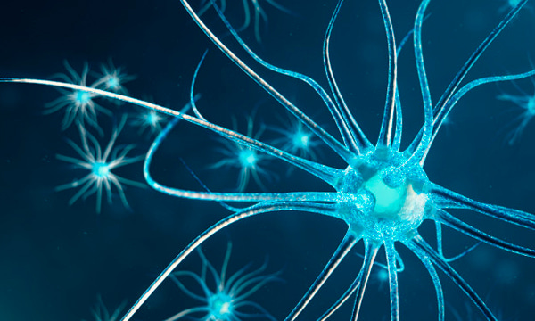 Исследование нервно-мышечной передачи (декремент-тест)