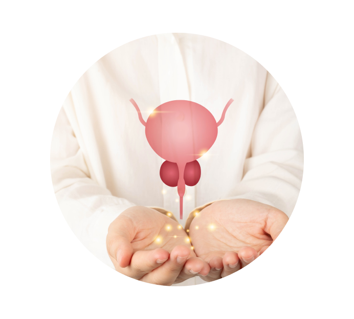 Уретроскопия Уретроскопия