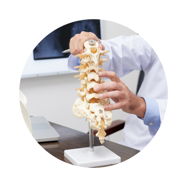 УЗИ пояснично-крестцового отдела позвоночника УЗИ пояснично-крестцового отдела позвоночника