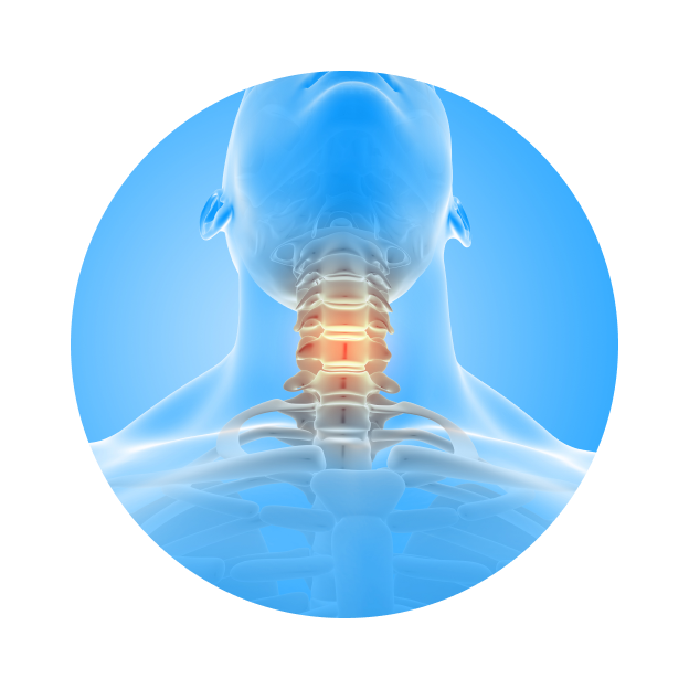 УЗИ шейного отдела позвоночника УЗИ шейного отдела позвоночника