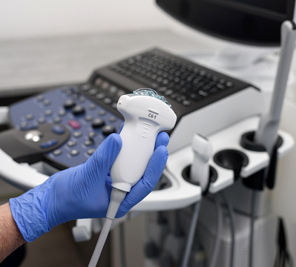 УЗИ почек УЗИ почек